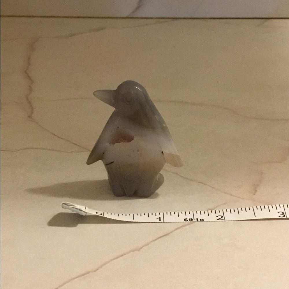 Natural agate Penguin crystal with geode